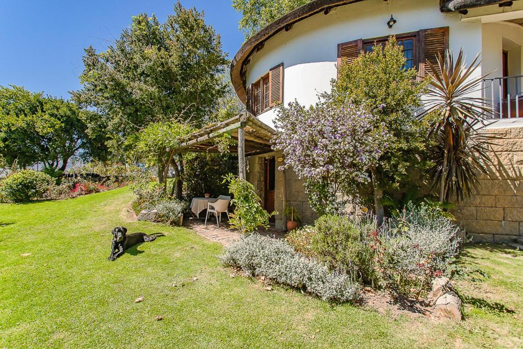 Picardie Guest Farm Paarl Exterior photo